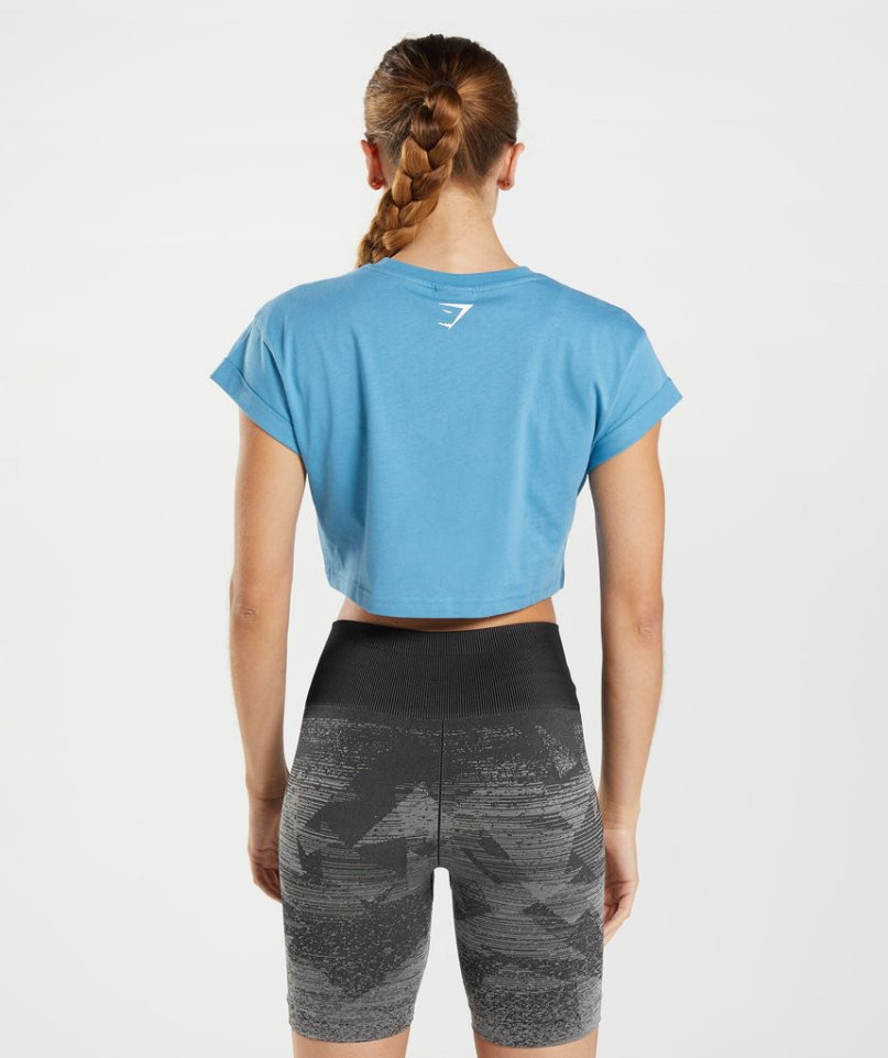 Women's Gymshark Fraction Cropped Tops Blue | NZ 3FQXDA